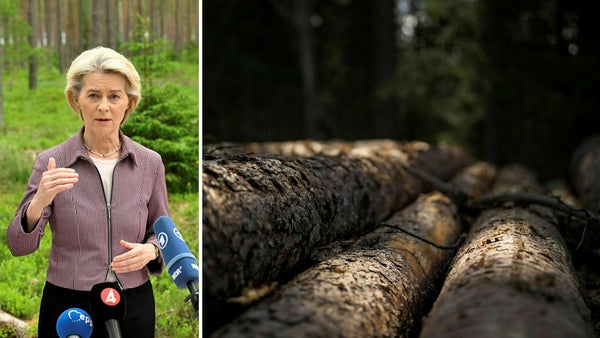 Orimligt att straffa grön svensk skogsindustri​​