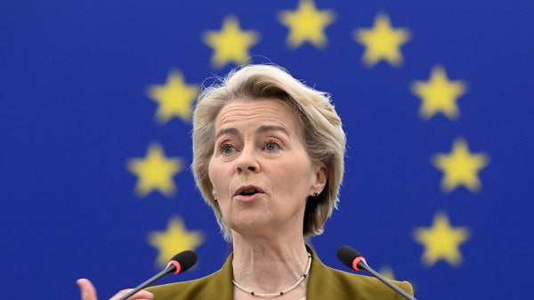 Von der Leyen föreslår gemensam vapenreserv​​