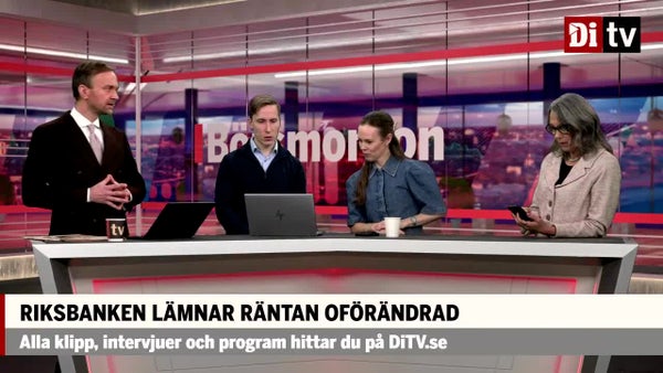 Experten: Mjukt besked från riksbanken​​