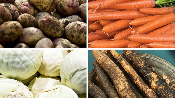Expert: Grödorna som duger i krig – åtta tips​​