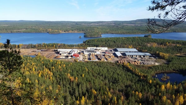 Skogsindustrin behöver växa även på landsbygden​​