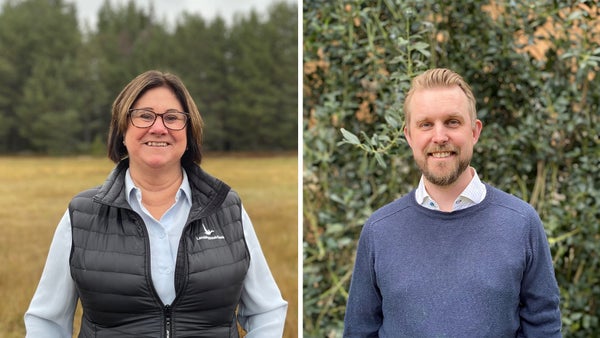 Här finns möjligheterna när skogen ska finansieras​​