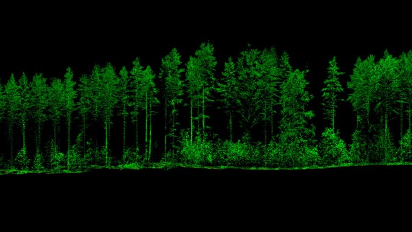 Noggrannhet på trädnivå för precisionsskogsbruk​​