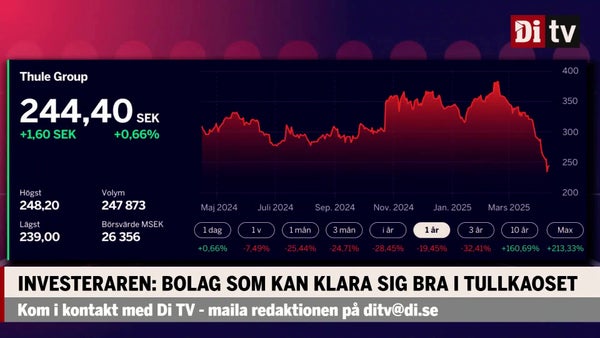Investeraren: ”Bolag som kan klara sig bra i tullkaoset”​​