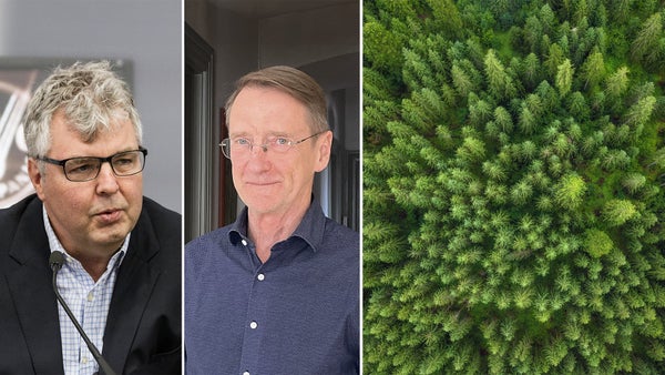 Se bortom skogen för hållbara klimatlösningar​​