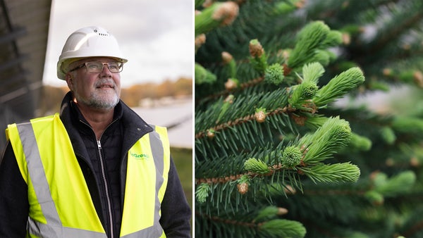 Så kan skogsägare få nya och stabila intäkter​​
