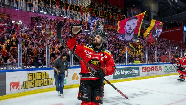 Näringslivet i norr vet vad som är viktigt: Ishockey​​
