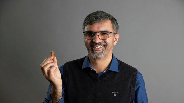 Professorns köttsubstitut tar över Legofabrik​​