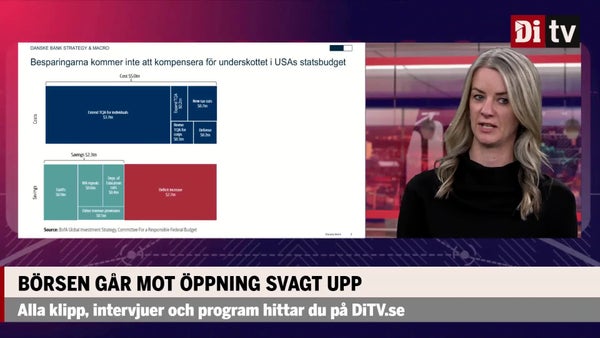 Landeborn om USA:s budgetunderskott: ”Inte i närheten att finansiera de ökade utgifterna”​​