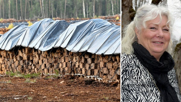 Orimligt förslag från miljöberedningen om torven​​