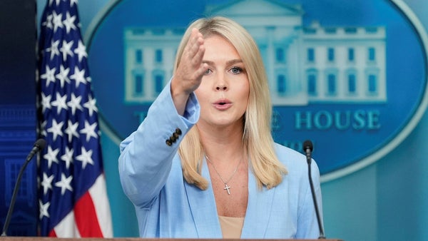 700 statsvetare: USA inte längre en demokrati​​