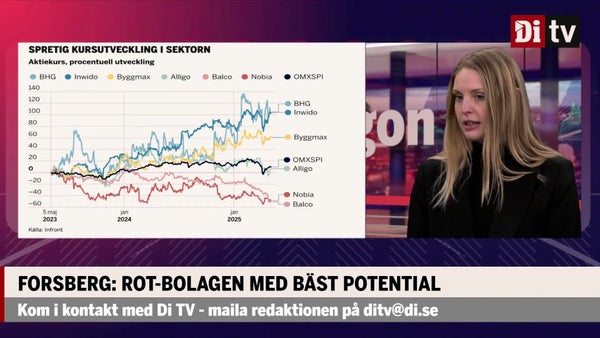 Bolagen som gynnas av det utökade rot-avdraget​​