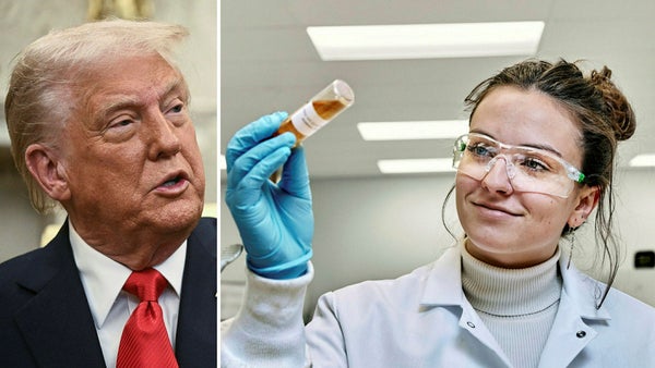 Bedömare: Trumps politik ger guldläge i Europa​​