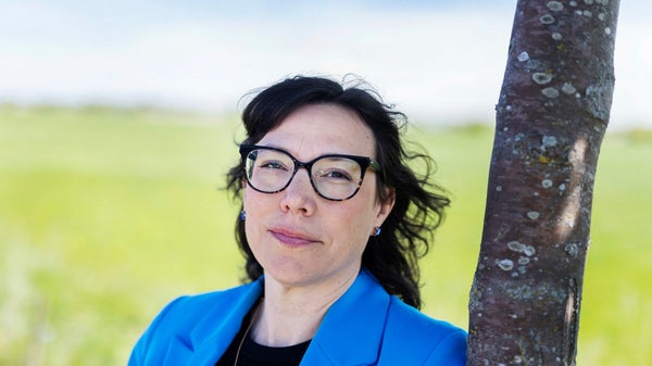 Så vände Arla-utmanaren efter raset: ”Investerat mer”​​