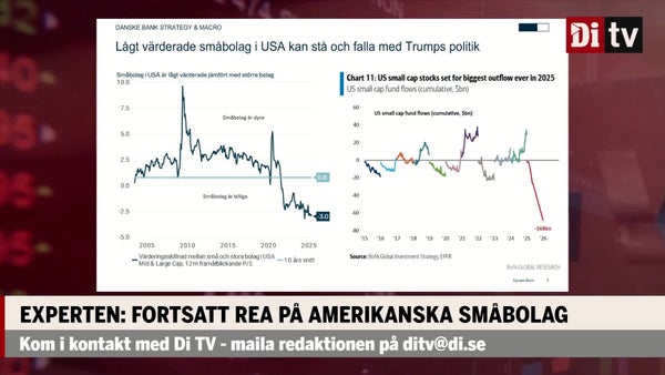 Experten: Fortsatt rea på amerikanska småbolag​​