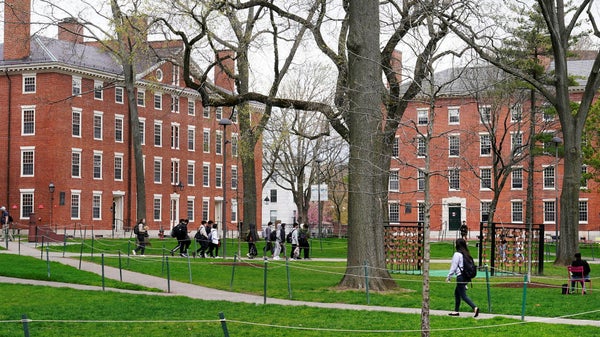 Harvard stämmer Trump-regeringen​​