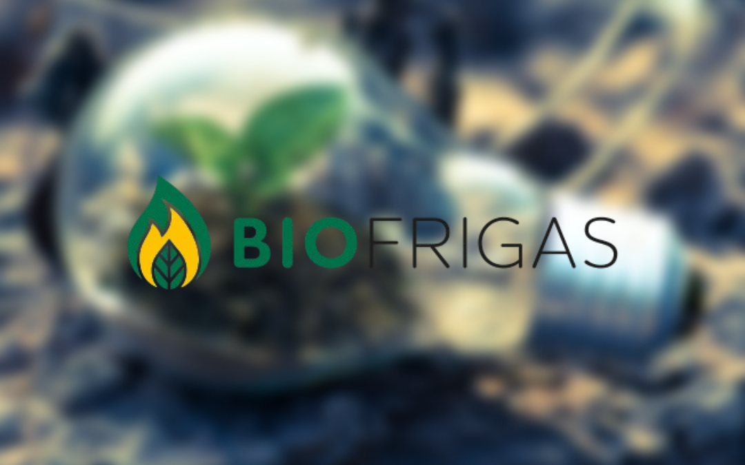 Biofrigas – Lagt grunden för lönsam tillväxt