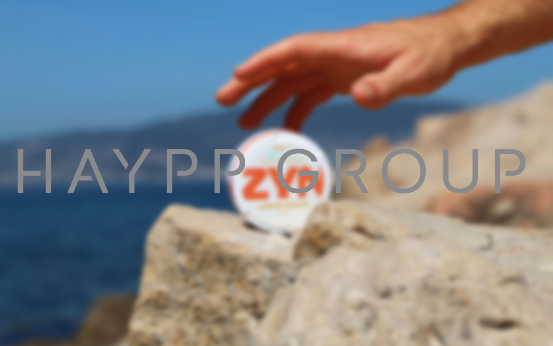 Kommentar på Haypp Groups Q1-rapport