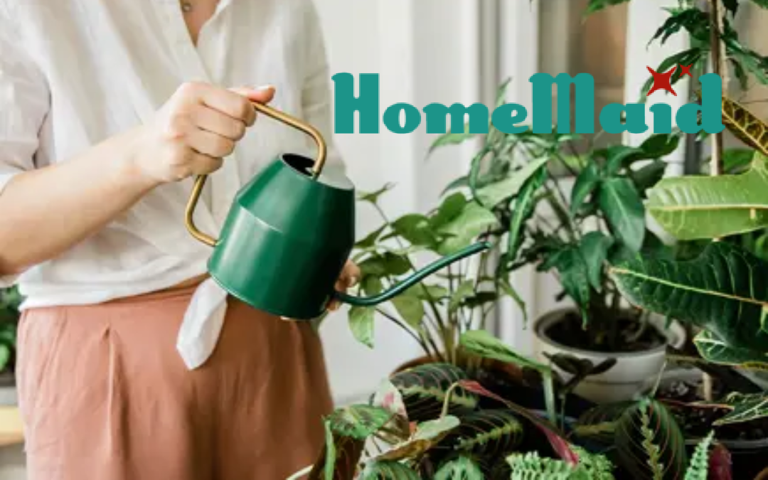 Analys: HomeMaid – Städar upp marginalerna i en växande RUT-marknad