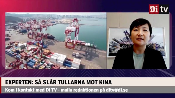 Experten: Så slår tullarna mot Kina​​