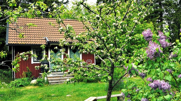 Så mycket kostar sommarstugan varje år​​