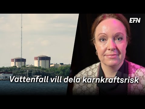 Vattenfall om statlig riskdelning vid kärnkraftsbygge: ”En förutsättning”