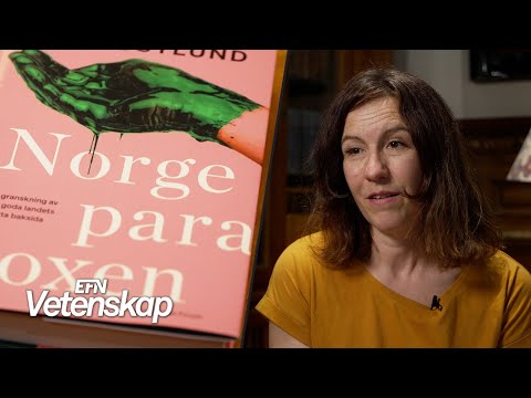 Hur länge kan Norge fortsätta pumpa upp olja – och till vilket pris?