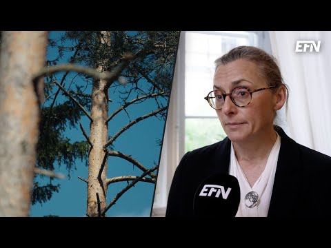 Biokrediter lösningen för ekosystem och skogsägare