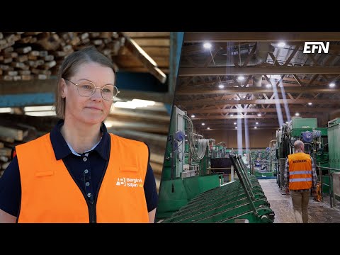 Rotavdrag och sommarrenoveringar ska få igång sågverkens siffror