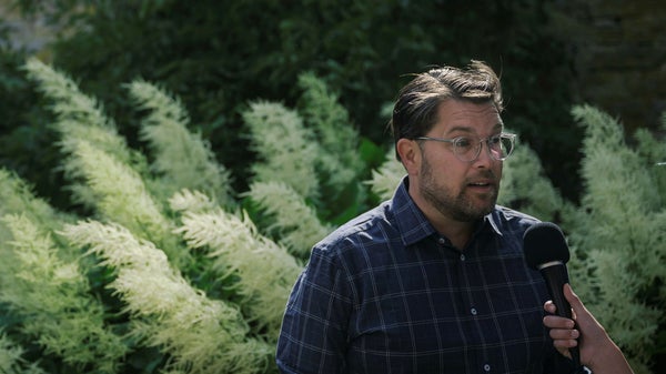 Åkesson har fel om behovet av reformer​​