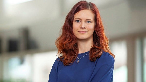 Mp: Skogsutredning går vilse i skogen​​