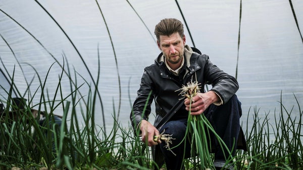 Krogen som rymmer hela världen på 2.000 kvm​​