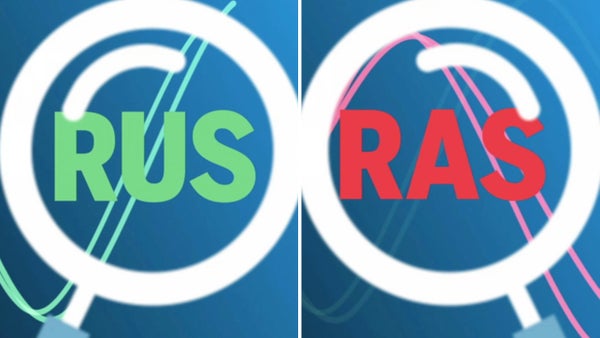 Rus och ras: Vd-comeback lyfter Transfer Group​​
