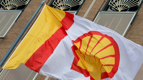 Shell dementerar: Har inte lagt bud på BP​​