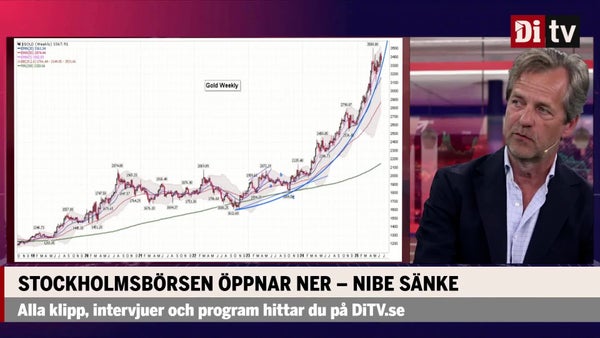 Elgemyr: ”Guld ska man ha i portföljen – en skyddsvaluta”​​