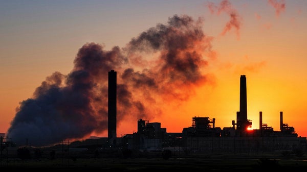 Varnar EU för kolkrediter i utsläppshandel: ”Kan bromsa klimatarbetet”​​