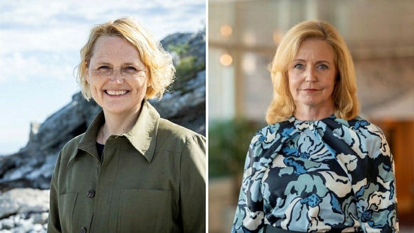 Låt Sveriges småföretag få blomstra igen​​