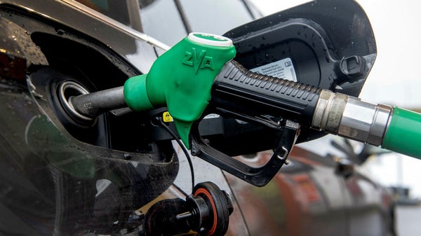 Lätt göra en god klimatgärning och minska Sveriges sårbarhet​​