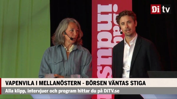 Chefekonomen och strategen om stökiga omvärldsläget​​