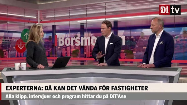 Experterna om fastighetssektorn: “Extremt billig”​​