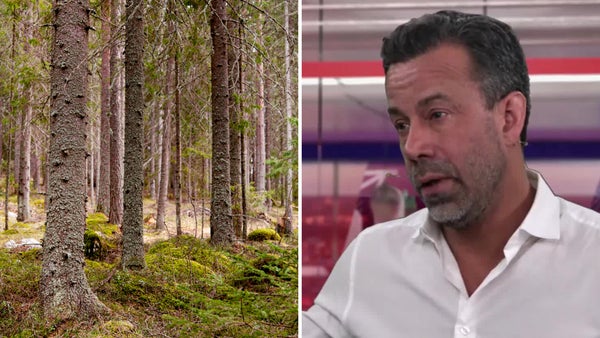 Kopfer om skogindustrin: ”Det är ett svagt läge – jag tycker det är problematiskt”​​