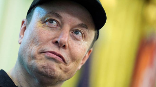 Trump: Elon Musk har tappat förståndet​​