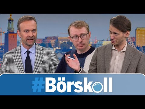 Ljusglimtar och orosmoln i makroskörden
