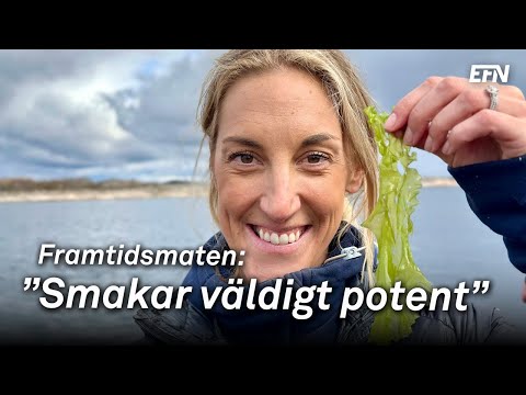 Häng med till Bohusläns tångodling