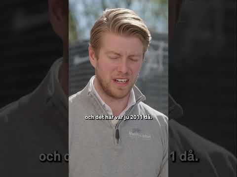 Mathias och Skaldjursfabriken