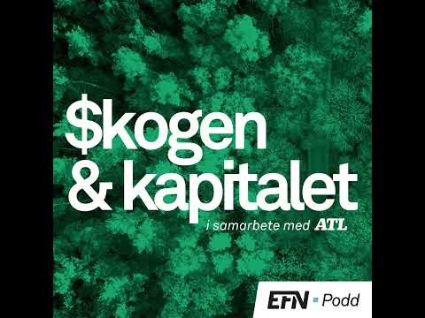 ”Klarar finnarna höga virkespriser, klarar vi det också”
