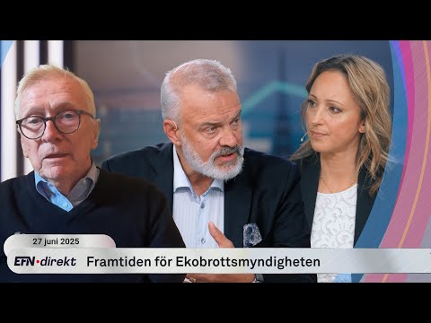 EBM-utredaren om regeringens besked: ”Inte riktigt seriöst”