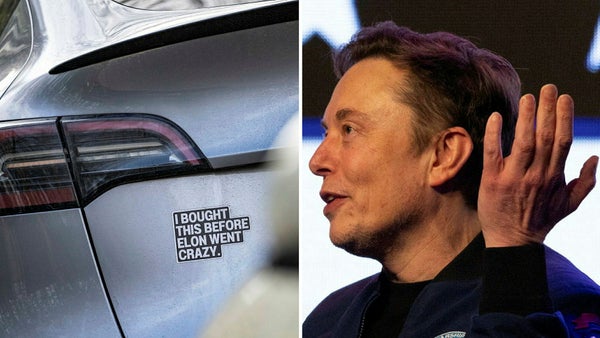 Techförvaltaren: Musks partiplaner vore katastrof för Tesla​​
