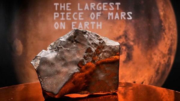 Bit av mars såld för 51 miljoner kronor​​