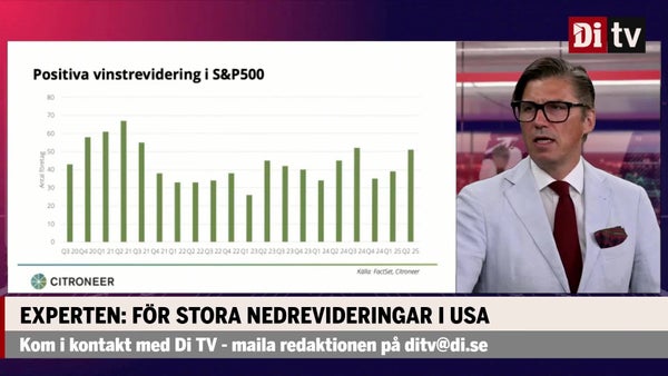 Experten om vinstrevideringarna inför rapportperioden​​